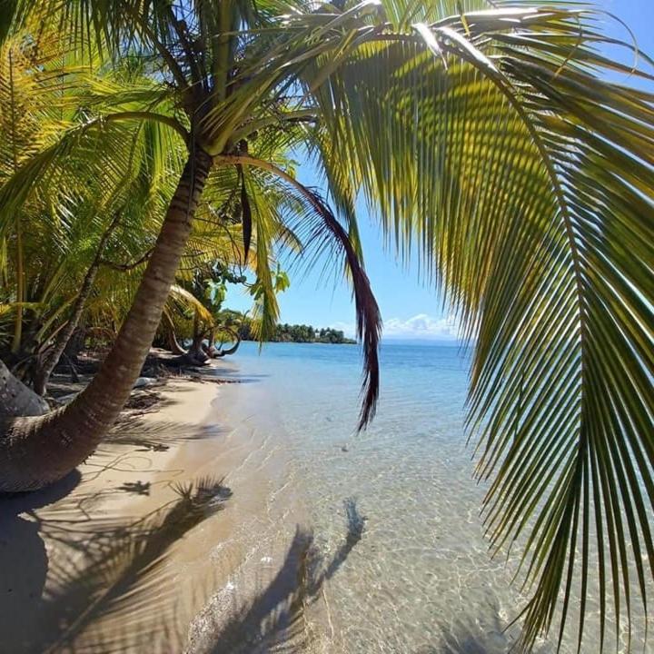 The Sunsetter Bed & Breakfast Bocas Town Kültér fotó