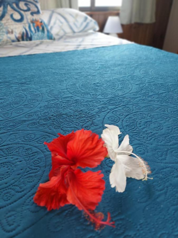 The Sunsetter Bed & Breakfast Bocas Town Kültér fotó