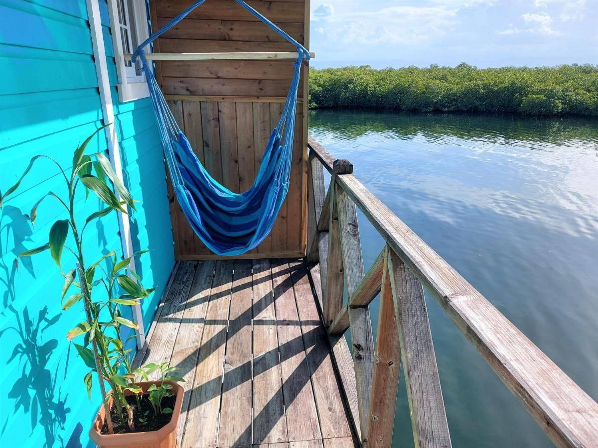 The Sunsetter Bed & Breakfast Bocas Town Kültér fotó