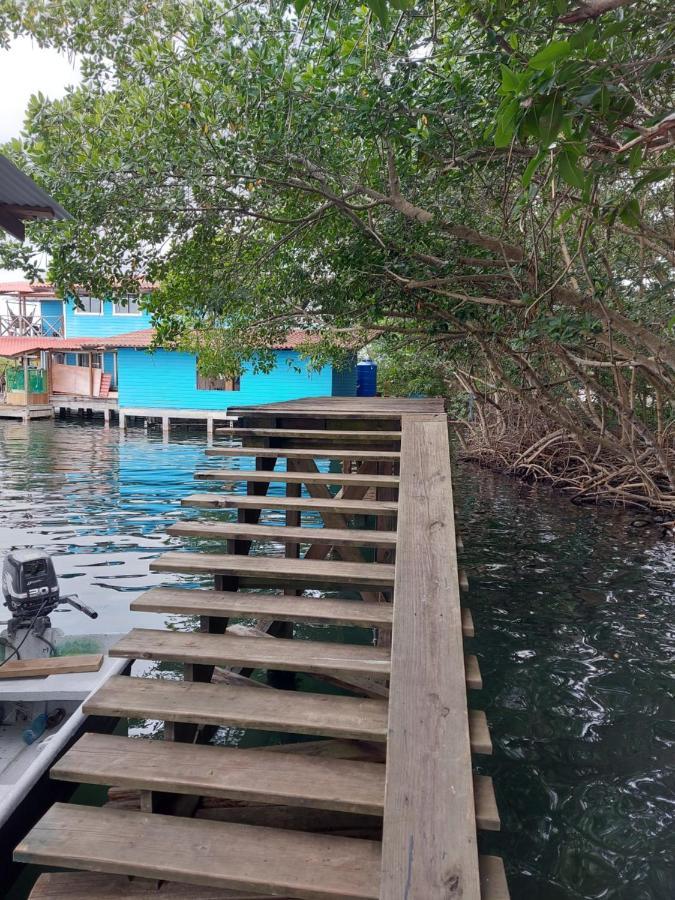 The Sunsetter Bed & Breakfast Bocas Town Kültér fotó